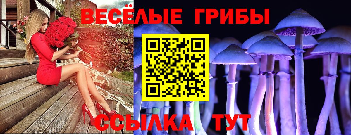 Галлюциногенные грибы ЛСД  Вход с VPN  Черкесск  Псилоцибиновые грибы Psilocybine cubensis 